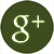 Google+